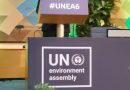 UNEA 6 – How Minister Of State for Environment, Salako Showcased Nigeria to the World