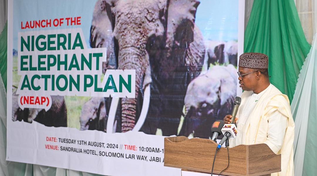 FG Launches National Elephant Action Plan, Reiterates Commitment to The ...