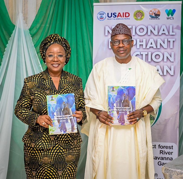 FG Launches National Elephant Action Plan, Reiterates Commitment to The ...