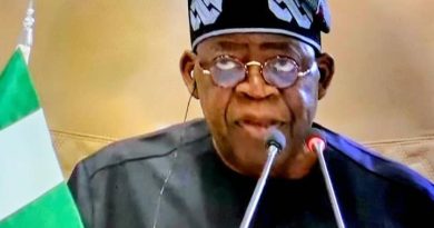 Genocide In Gaza: Tinubu Wants Vision of A Two-State Solution Actualized In Resolving the Israeli-Palestinian Conflicts