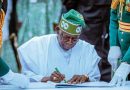 Tinubu Tax Reforms Explained in Layman’s Language