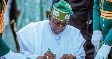 Tinubu Tax Reforms Explained in Layman’s Language