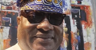 Nigeria Needs Peace, Not War To Consolidate on The socio-economic reforms’ Gains- Tolu Bankole