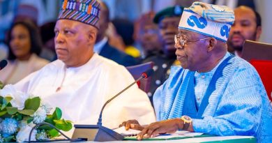Tinubu Says Nigeria Will Overcome Terrorism, Banditry