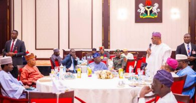 TINUBU TO SENATORS: TINKER WITH THE CONSTITUTION TO ACCOMMODATE STATE POLICE