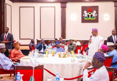 TINUBU TO SENATORS: TINKER WITH THE CONSTITUTION TO ACCOMMODATE STATE POLICE