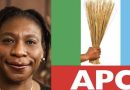 Politics Requires Strong Presence, Not Sabbatical or Periodic Commentary: A Response to Iyabo Obasanjo