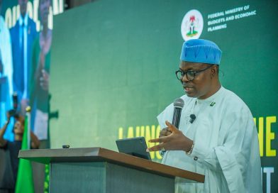 Procurement Is A strategic Policy Tool For Improving Health Outcomes, Human Capital, Economic growth, Sustainable development- Salako