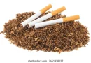 What Tobacco Harm Reduction Means for Nigeria